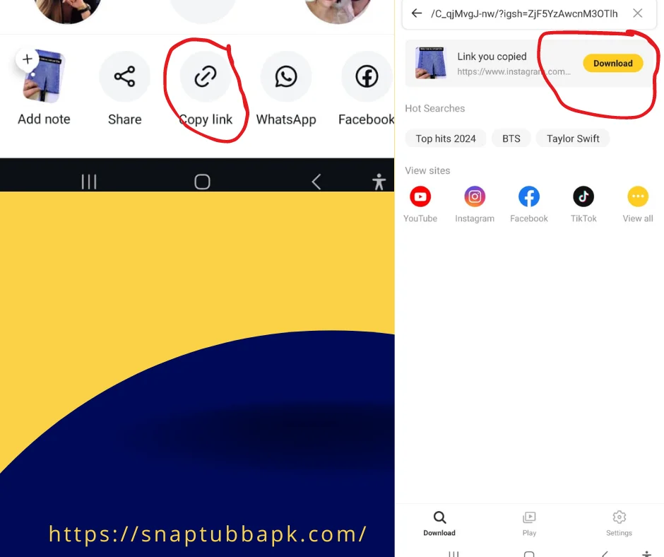 How to download video from Instagram